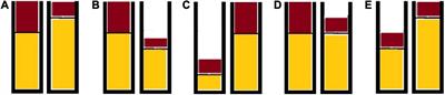 Non-symbolic Ratio Reasoning in Kindergarteners: Underlying Unidimensional Heuristics and Relations With Math Abilities